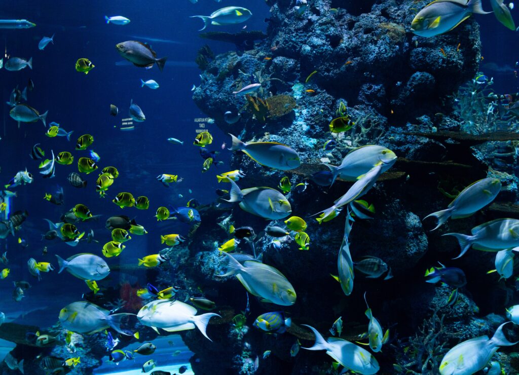  marine ecosystem